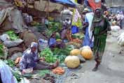 At the market at Dire Dawa. East, Ethiopia.