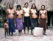 Villagers from Dani tribe. Papua,  Indonesia.