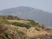 Tipaza town. Algeria.