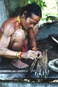 Poison arrows making. Siberut island. Sumatra,  Indonesia.