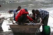 Fish market, Awasa lake. Ethiopia.