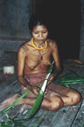 Sago drying. Siberut island. Indonesia.