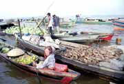 Floating market in Banjarmasin. Kalimantan, Indonesia.