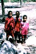Papua children from Wamerek village. South part of Baliem Valley. Papua, Indonesia.