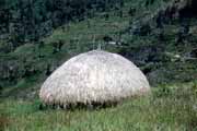 Dani hut. Indonesia.