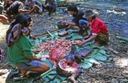 At funeral ceremony. Preparing food for guests. Tana Toraj area. Indonesia.