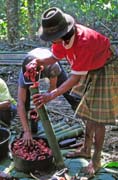 At funeral ceremony. Preparing food for guests. Tana Toraj area. Indonesia.