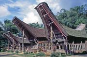 Traditional houses tongkonan, Tana Toraja area. Indonesia.