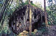Now graves are made at hills. Tana Toraja area. Indonesia.