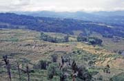 Landscape. Tana Toraja area. Sulawesi, Indonesia.