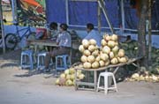 Coconut seller at Ujung Pandang town. Sulawesi, Indonesia.