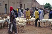 Cattle section of traditional Monday market at Djenn� city. Mali.