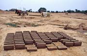 Muddy bricks, Djenn� city. Mali.