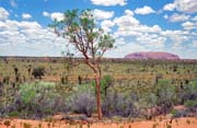Ayers Rock (Uluru). One the biggest world monolit. Australia.