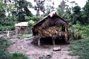 Traditional mentawai house. Siberut island. Indonesia.