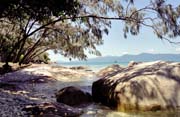 Beach at Fitzoy island. Australia.