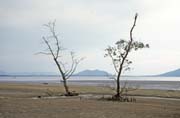 Bako national park. Malaysia.