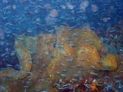 Diving around Bunaken island, Alban dive site. Indonesia.