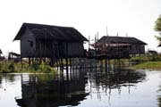 Water life. Inle Lake. Myanmar (Burma).