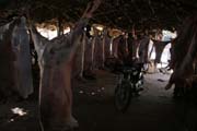 Butchery at market at Agadez town. Niger.