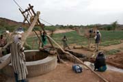 Camel is pumping water from well. Sahara desert. Niger.