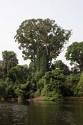 Lobe River. Cameroon.