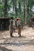 Traditional dance at Pygmy village down to the Lobe River. Cameroon.