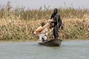 Fisherman. Lake Chad area. Cameroon.