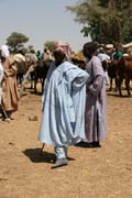Village market at Kujapa - cattle part. Mandara Mountains area. Cameroon.