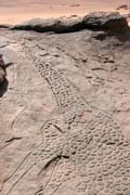 Historical giraffe paintings at Sahara desert at Dabous area. Niger.