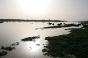 Niger river at Niamey capitol. Niger.