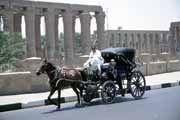 Local transport in Luxor. Egypt.