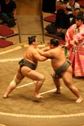 Sumo wrestling at sumo tournament. Tokyo. Japan.