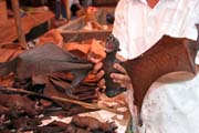 Bat (flying fox), market at Tomoho village. Sulawesi, Indonesia.