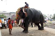 Procession preparation of Ernakulam Shiva Temple Festival. Ernakulam, Kerala. India.
