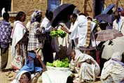 Market at Aksum. Ethiopia.