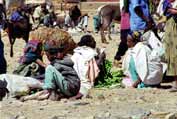 Market at Aksum. Ethiopia.