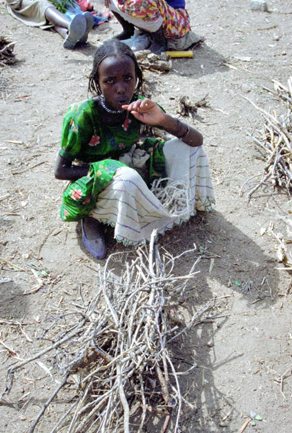 At the market at Dire Dawa. East,  Ethiopia.