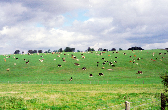 South East England. Great Britain.