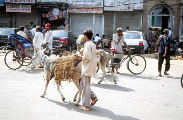 Street at old Delhi. India.