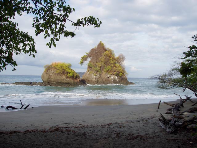 National park Manuel Antonio. Costa Rica.