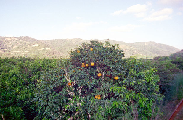 Inland. Crete. Greece.