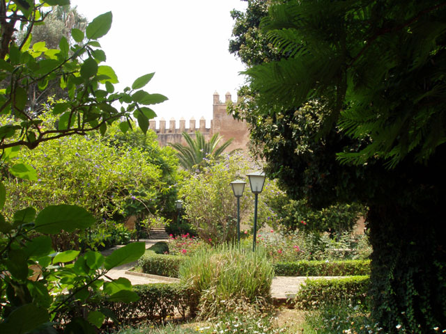 Rabat town. Morocco.