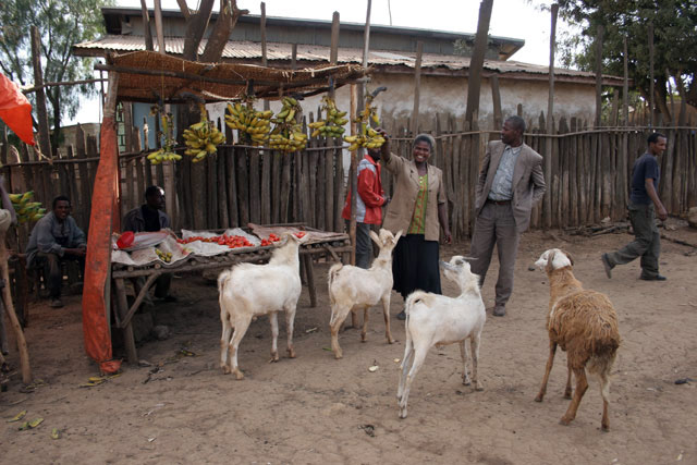 Banana sellers, Hosaina village. South,  Ethiopia.