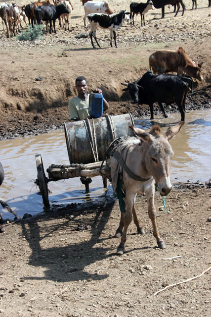 Village south of Addis Abbeba. South,  Ethiopia.