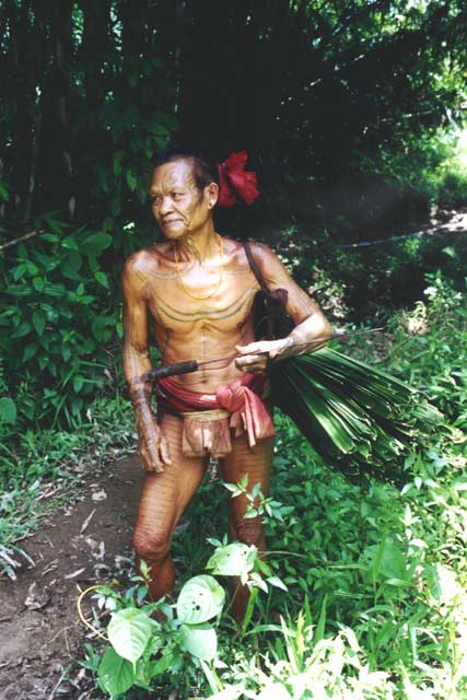 Mentawai man. Siberut island. Sumatra,  Indonesia.