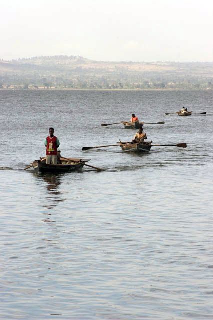 Fish market, Awasa lake. South,  Ethiopia.