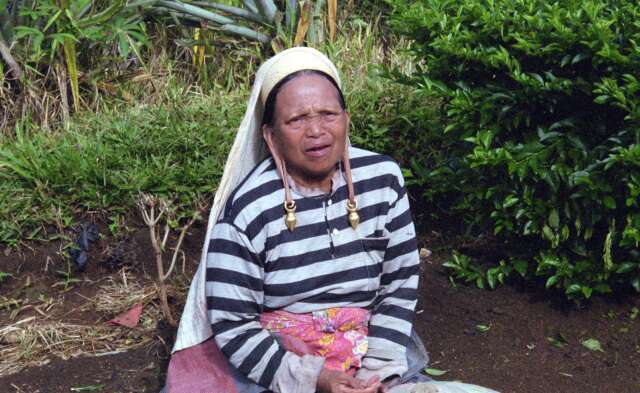 Traditional dayak women in Lidung Payau village. Kalimantan,  Indonesia.