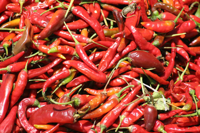 Chilli, Chencha market. South,  Ethiopia.