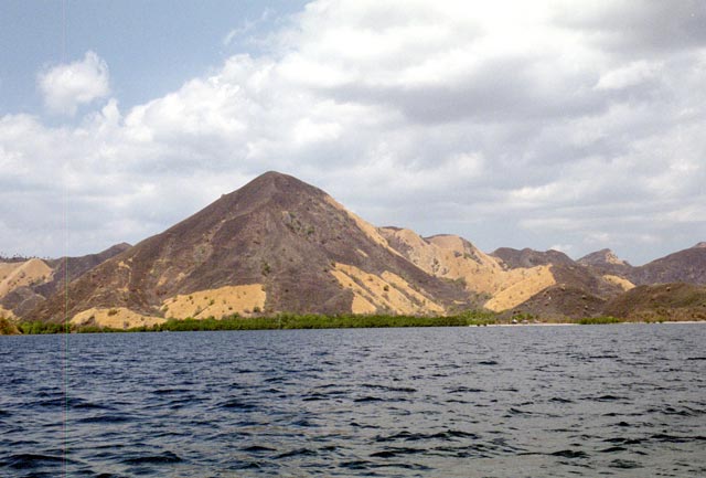 Rinca island. Nusa Tenggara,  Indonesia.
